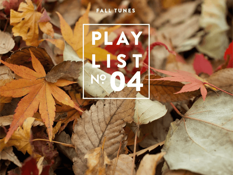 The Fall Playlist image
