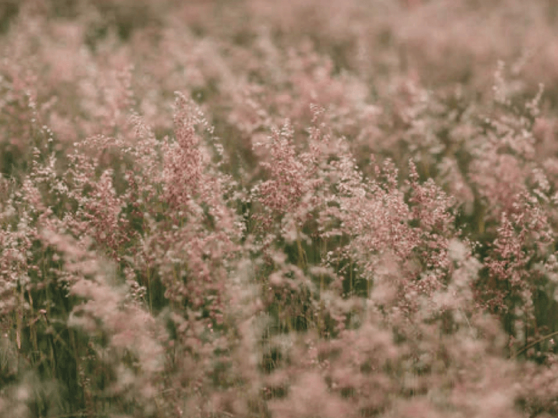 Here's to you, Mom image