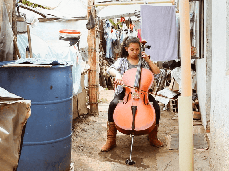 The Black Friday Fund image