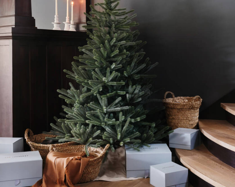 For Everyone on Your List image