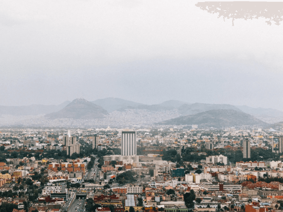 A Guide // 24 Hours in Mexico City