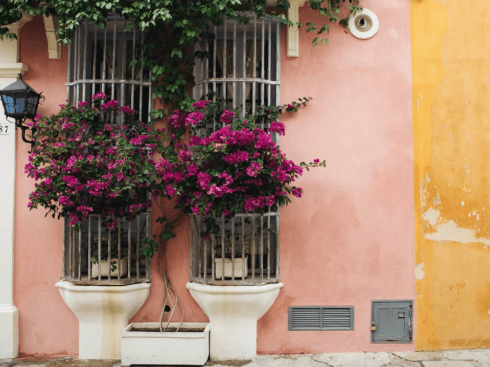 Field Notes // Cartagena Guide image