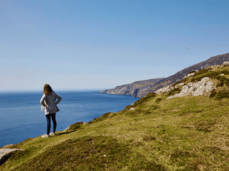 2016 in Review image