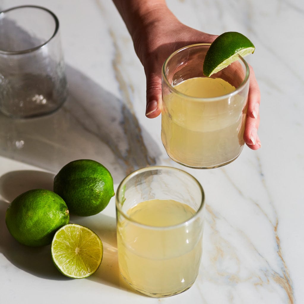 The Citizenry Apasco Tumbler Glasses