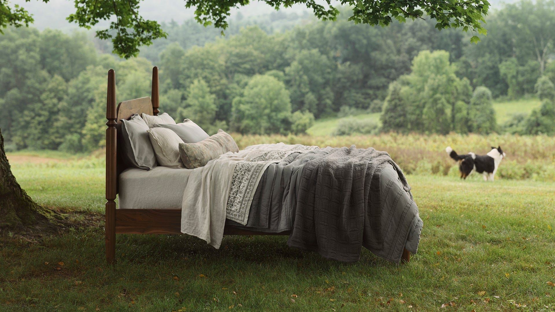 Fall 2025:<br>The Poetry<br>of Place