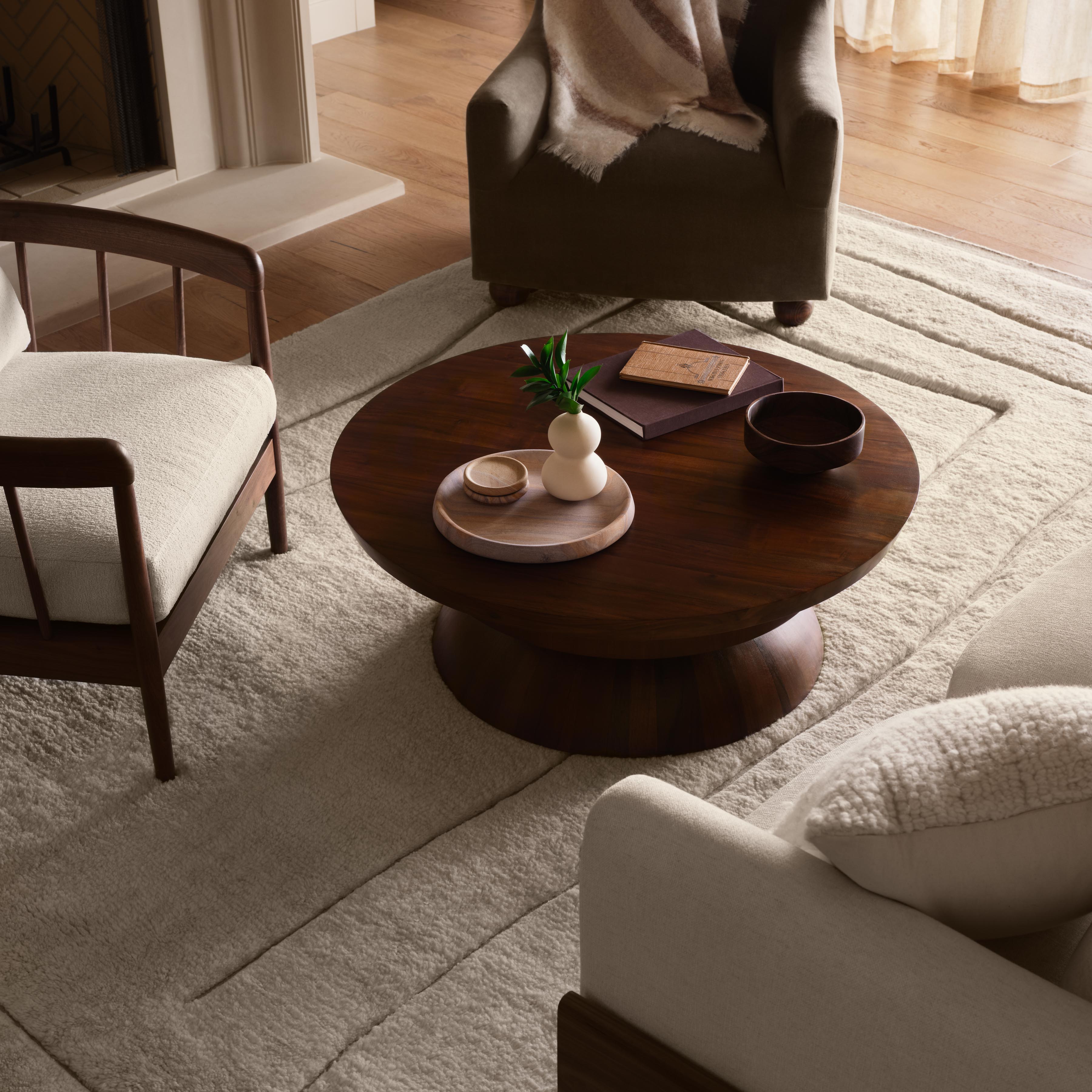 Ishir Hand-Knotted Area Rug – The Citizenry