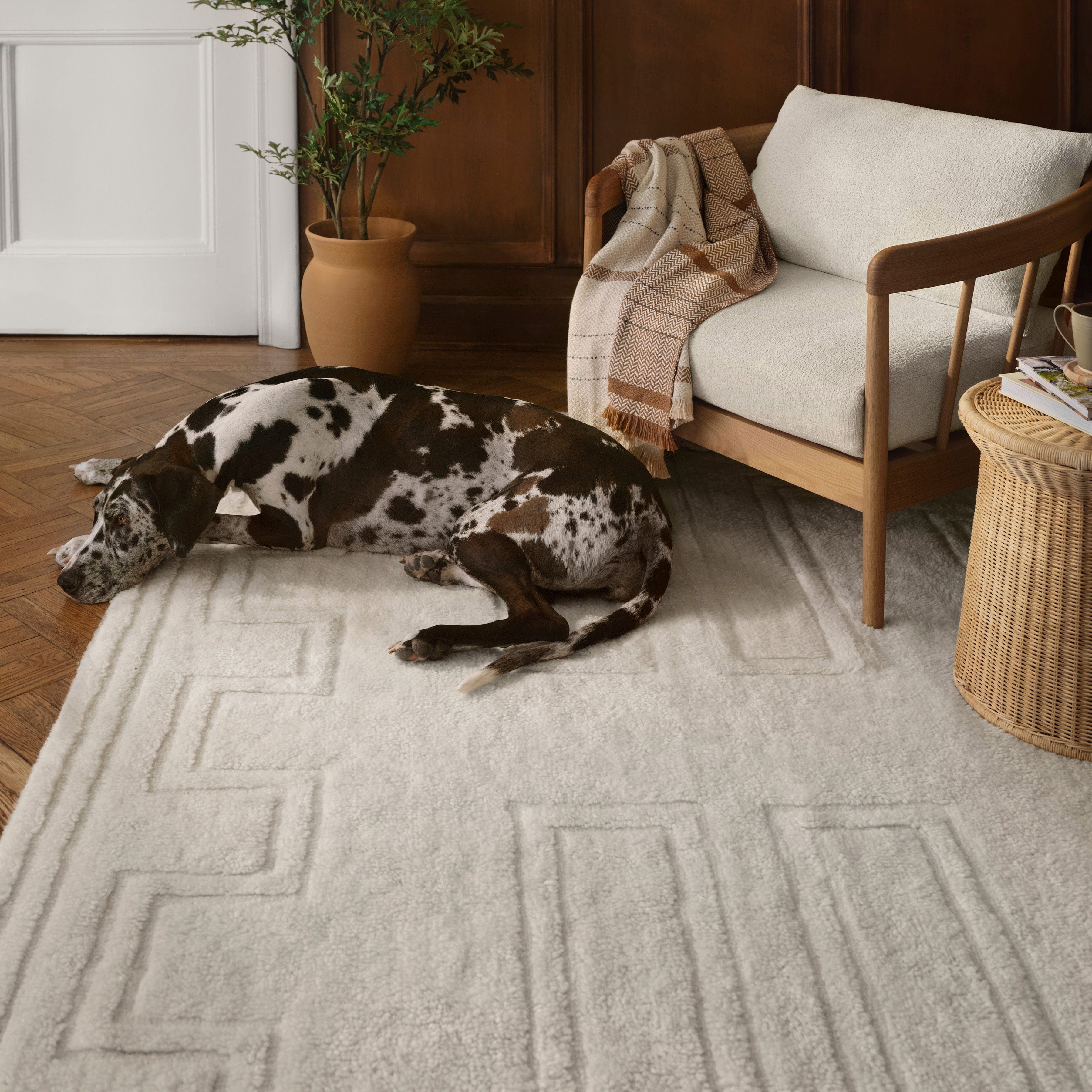 Padma Washable Area Rug – The Citizenry