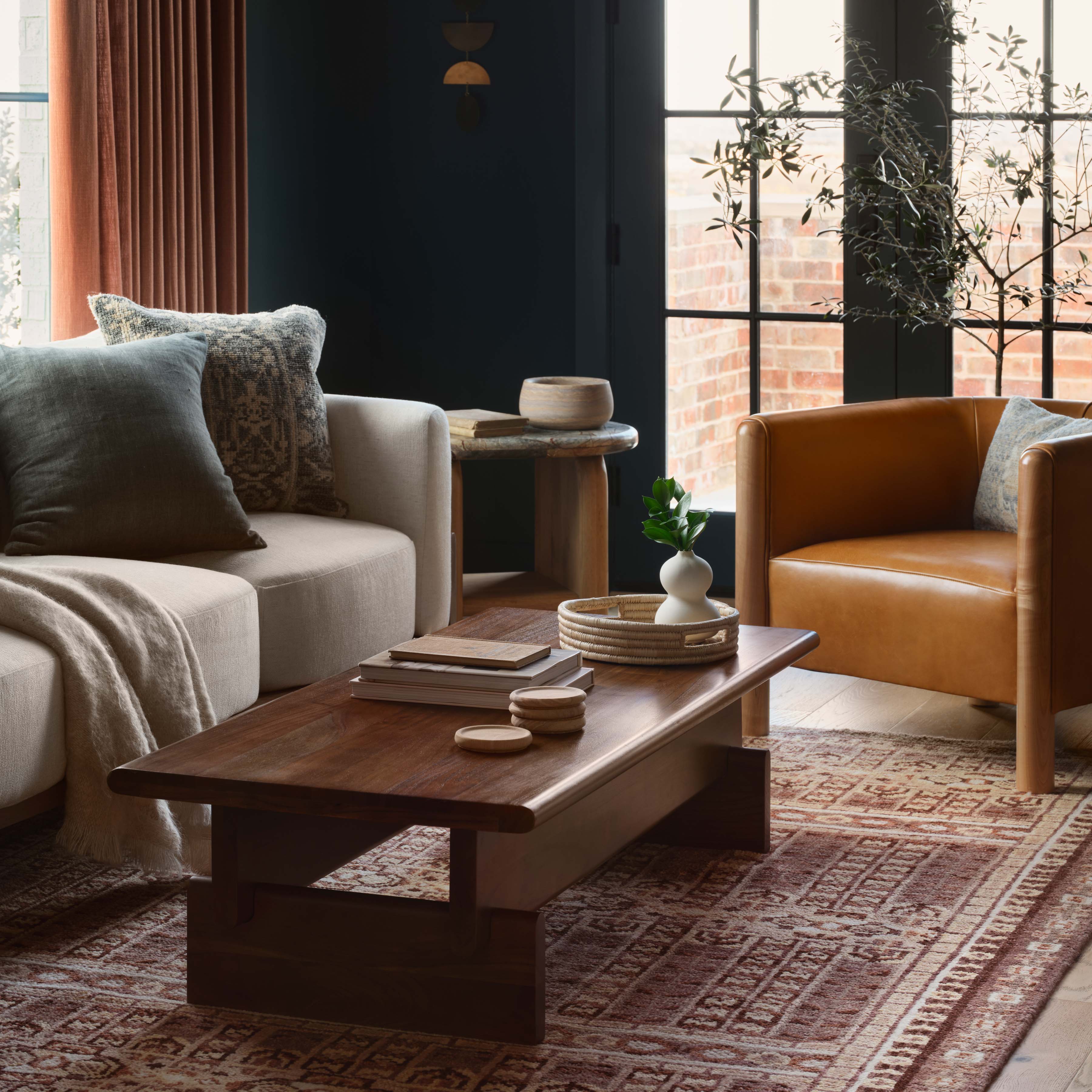 Vahini Hand-Knotted Area Rug – The Citizenry