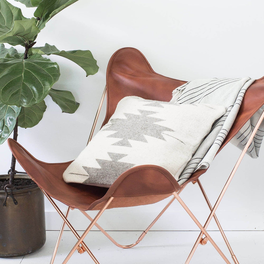 Butterfly Chair with Modern Throw Pillow