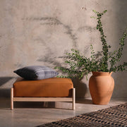 ash-frame-with-leather-cushion