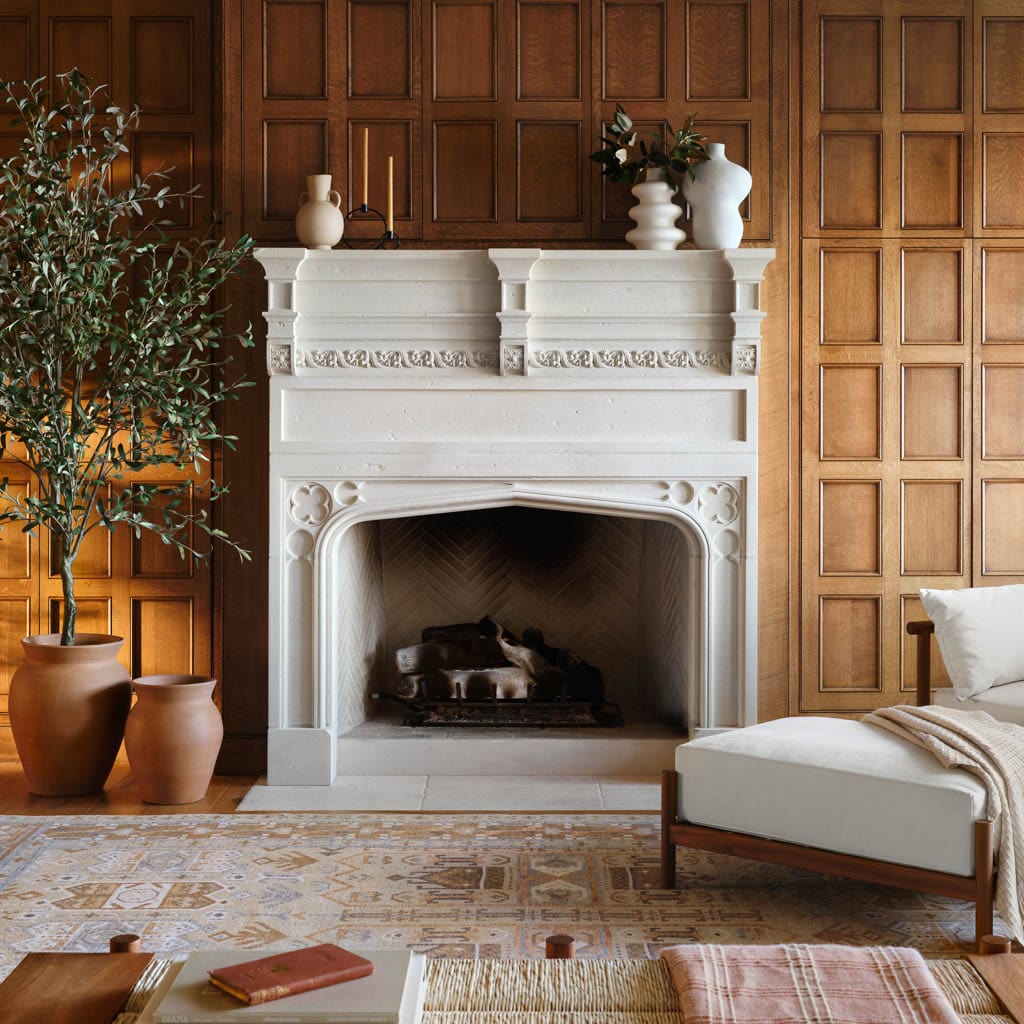 Hand-Knotted Area Rug | The Citizenry