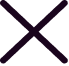 X Close Modal Icon